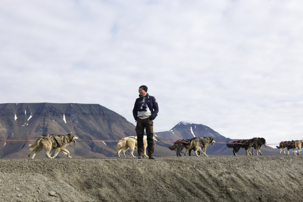 tažní psi na Svalbardu