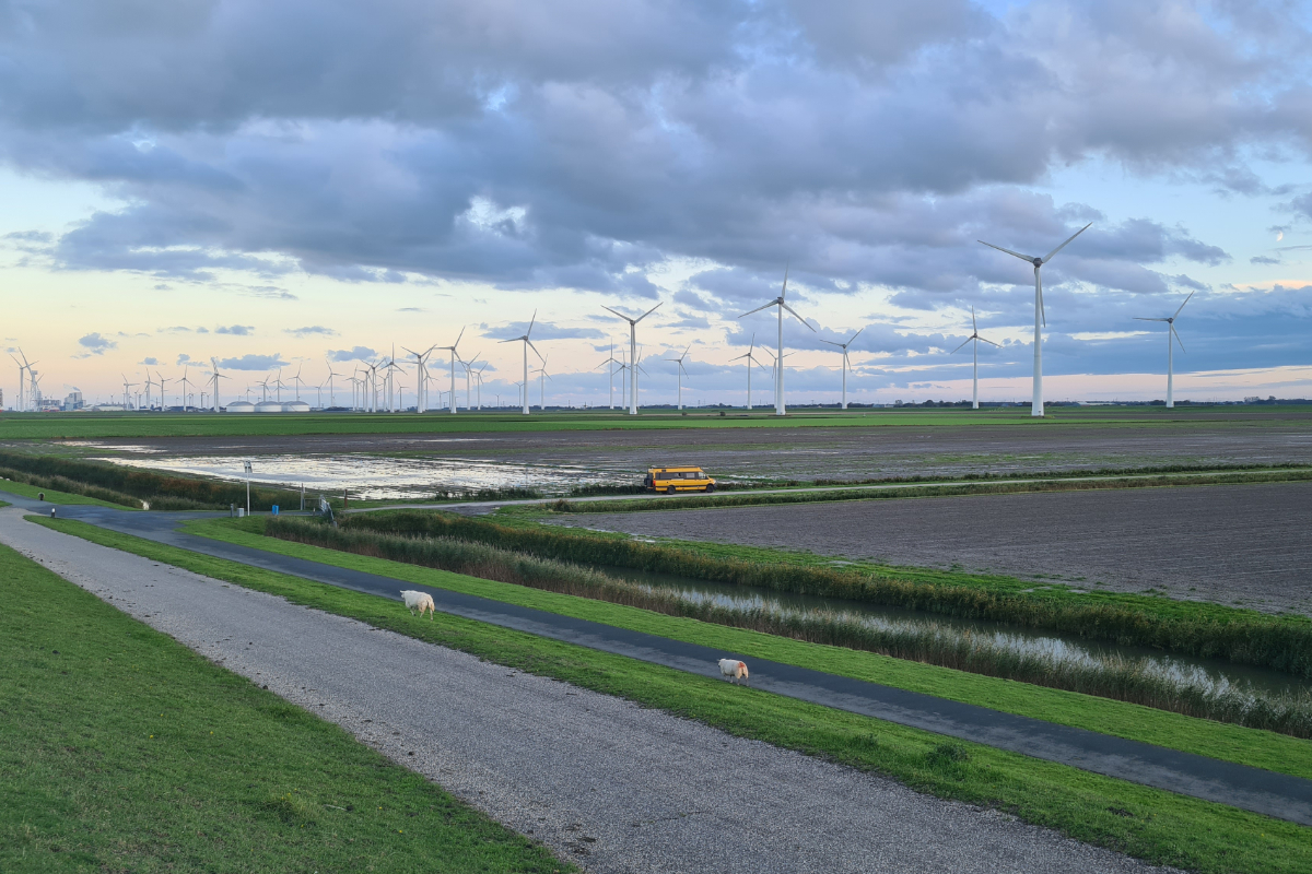 Falco a větrné elektrárny v Nizozemsku