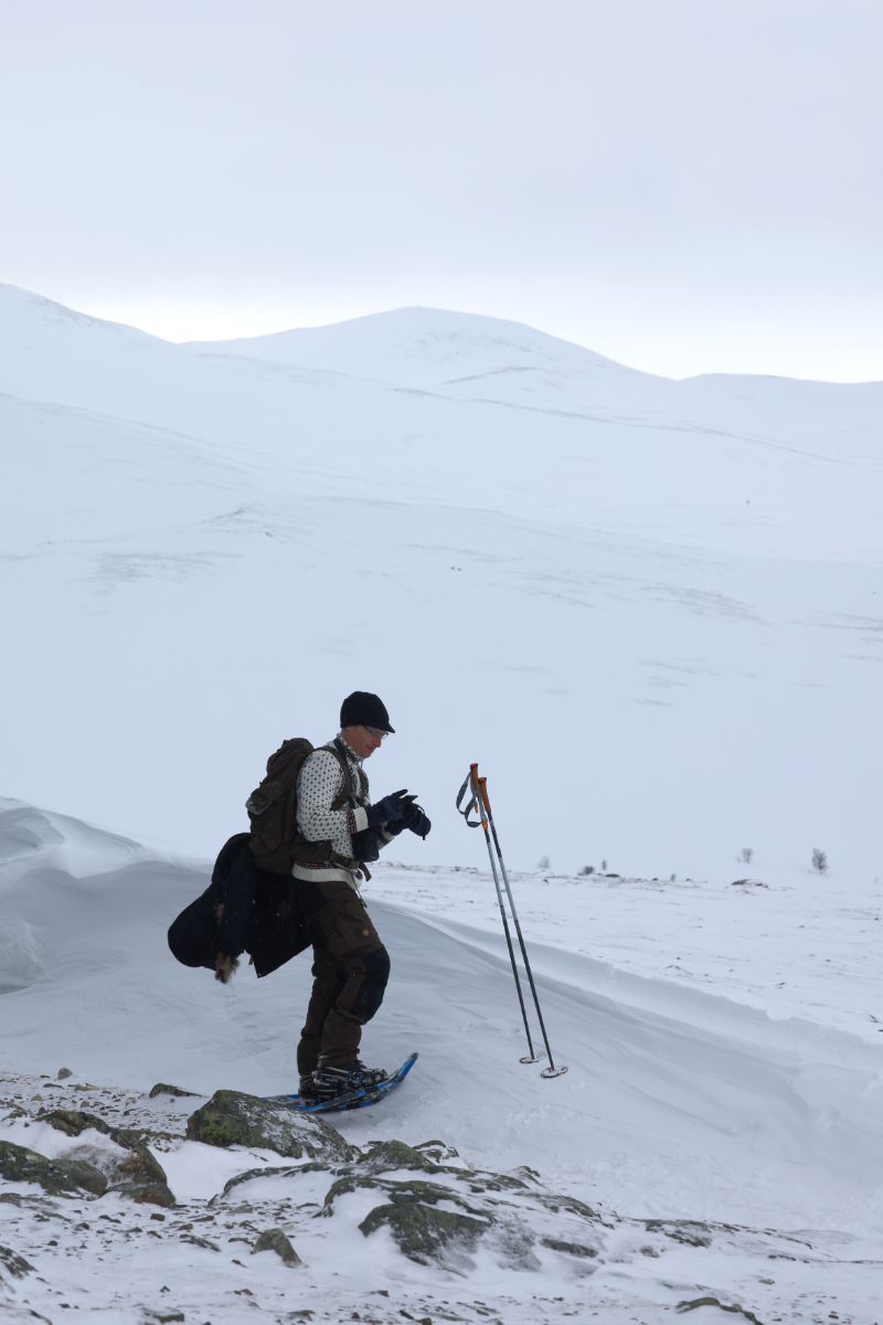 Dovrefjell